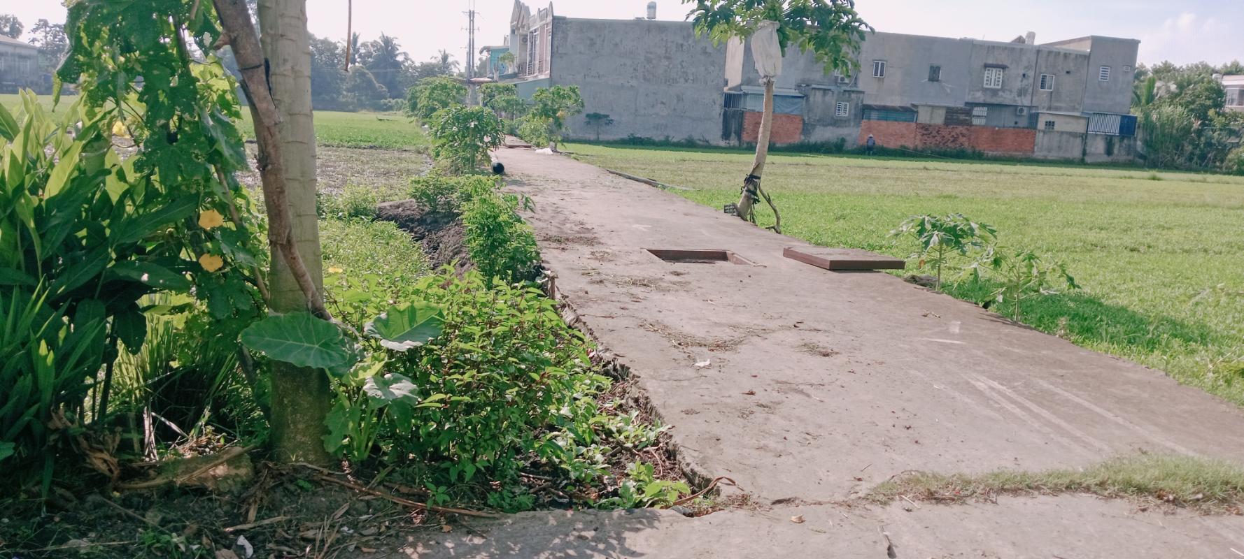 Củ Chi: Sở Hữu Ngay 1955m² Đất Ful Thổ Cư 32 x60  Đường Bình Mỹ  Giá Chỉ 31 Tỷ - Ảnh 4